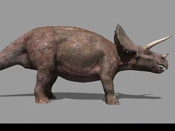 jp triceratops 3d obj - True Jp Triceratops Obj by Virtual creator